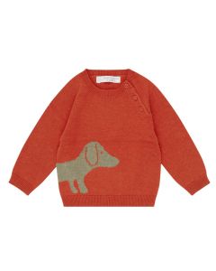Baby Strickpullover / VICTOR / red + dog / Vorderteil