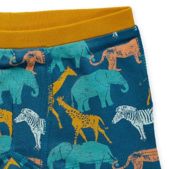 Jungen Boxershorts, Modell PRINCE, Meeresgrün / Safari-Druck / Geringelt, Komplett 