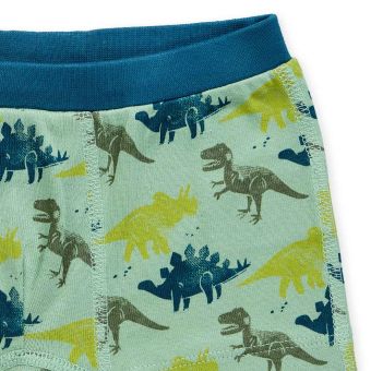 Jungen Boxershorts, Modell PRINCE, Blau / Dino-Druck / Geringelt, Komplett 