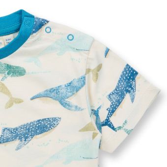 Baby T-shirt, Model ANTON, Whale print on white, Front part