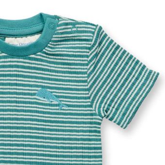 Baby body, Model VARIN, Sea green-white stripes with whale, Front part