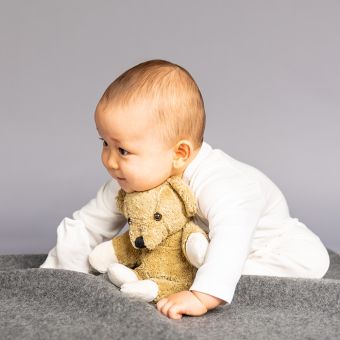 Weiches Kuscheltier Teddy komplett