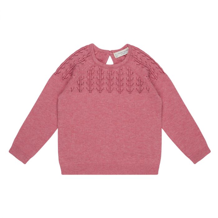 Honovi - Baby Sweater