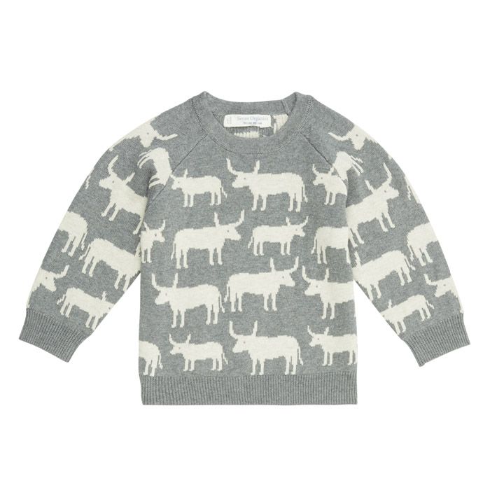 Children's Organic Knit Sweater / VICTOR / grey + bulls / front part