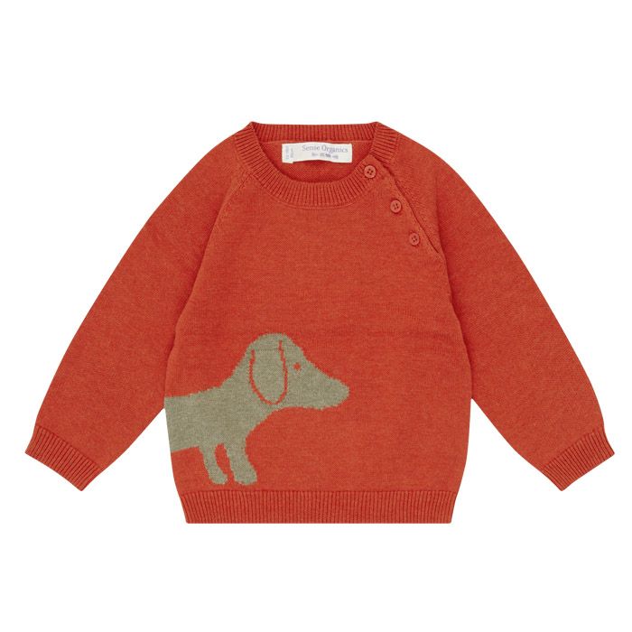 Baby Knit Sweater / VICTOR / red + dog / front part