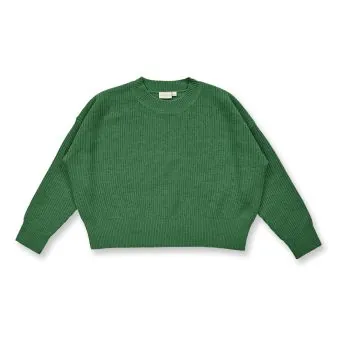  Frauen Pullover, Modell GOOLDIE, Grün Melange, Vorderansicht